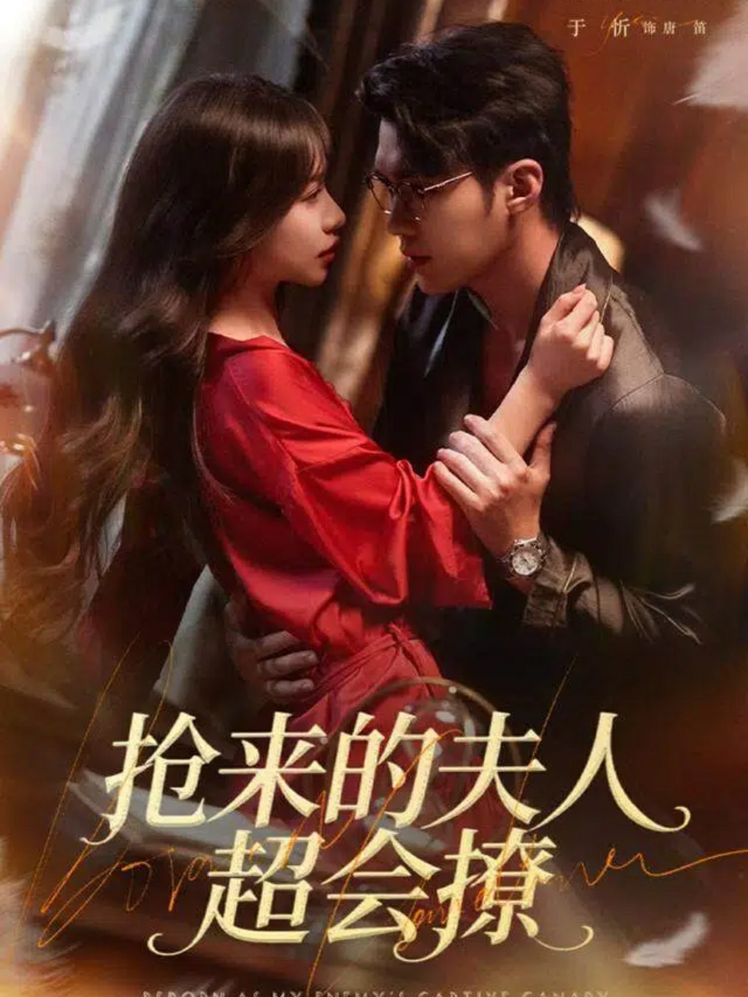 抢来的夫人超会撩