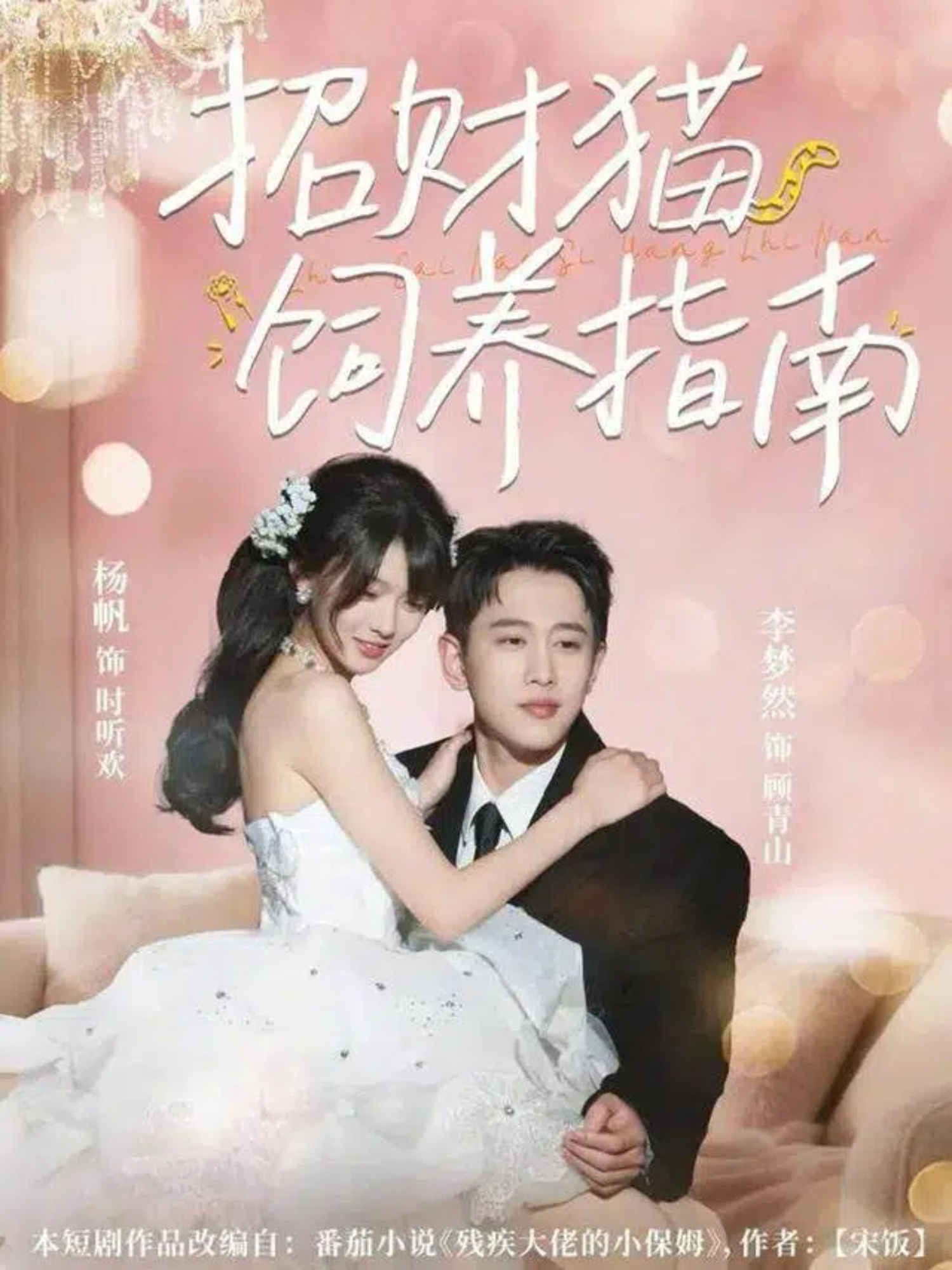 招财猫饲养指南