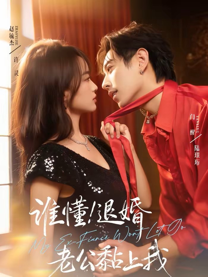 谁懂！退婚老公黏上我