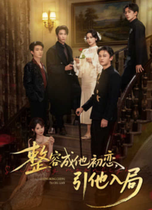 整容成他初恋，引他入局