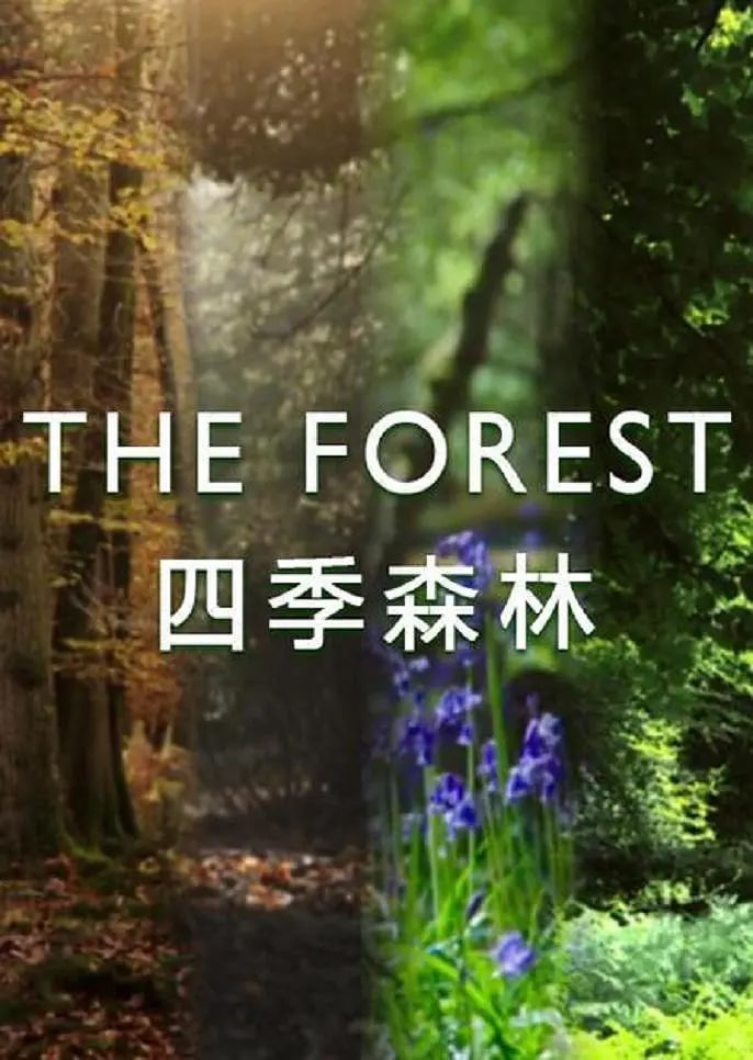 四季森林 第一季